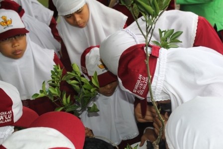 Para siswa SD Unggulan AL-YA'LU mempraktikkan teknik okulasi jeruk di Balitjestro